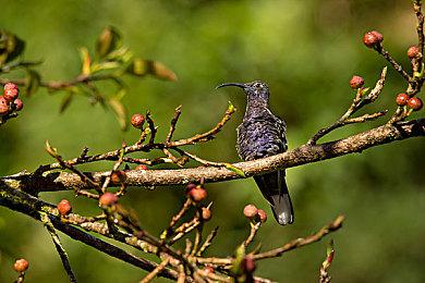 Steam新一周销量榜 Steam deck十连冠